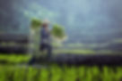 Farming