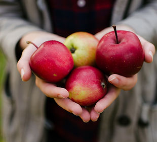 Picked Red Apples