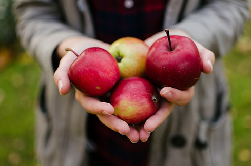 Picked Red Apples