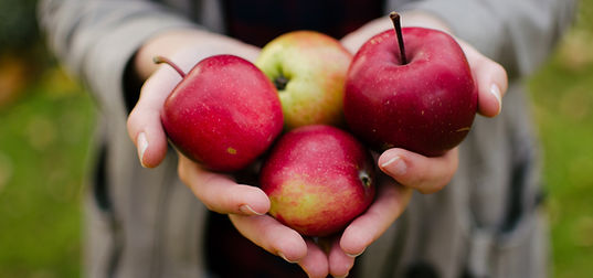 빨간 사과 고른