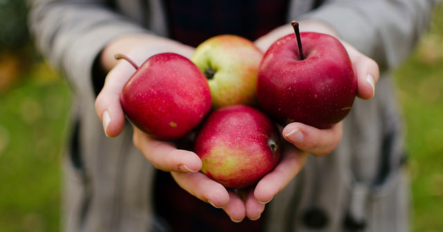 APPLE FACTS | LC Apple Festival