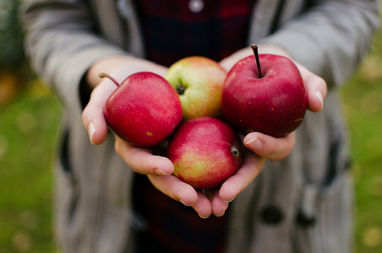 Holding Fresh Apples