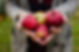 Picked Red Apples