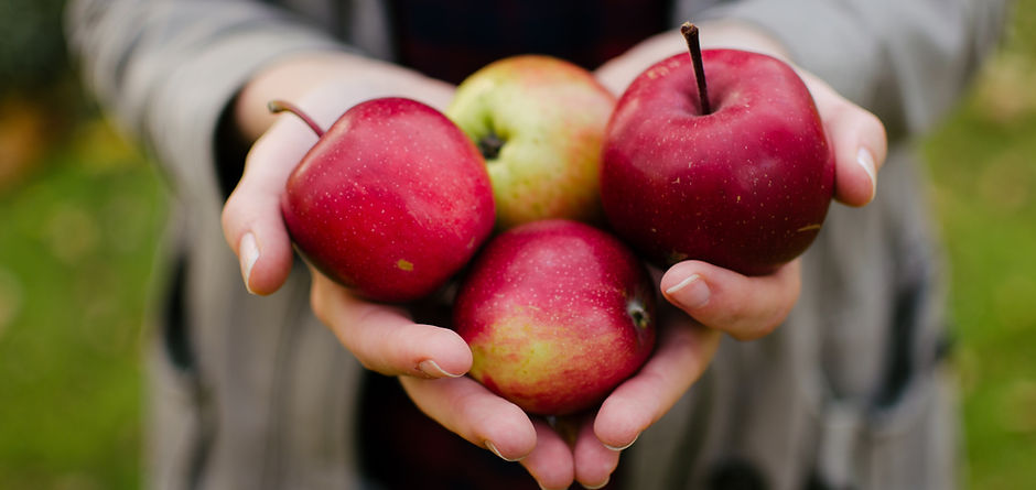 Picked Red Apples