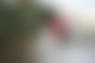 250123-Effort to Transform