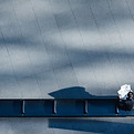 Man Reading the Newspaper