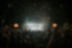 コンサートでの群集