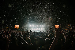 Concert Crowd