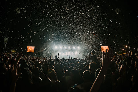 Concert Crowd