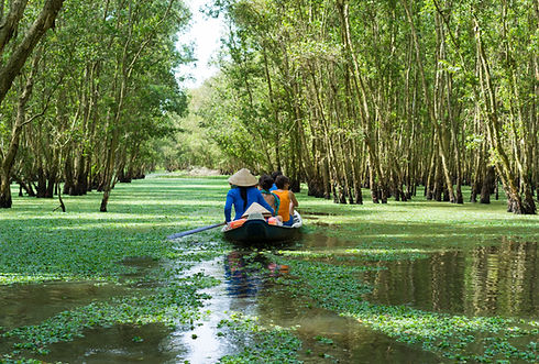 Boat tour on Rung Sac Military, Can Gio, Vietnam