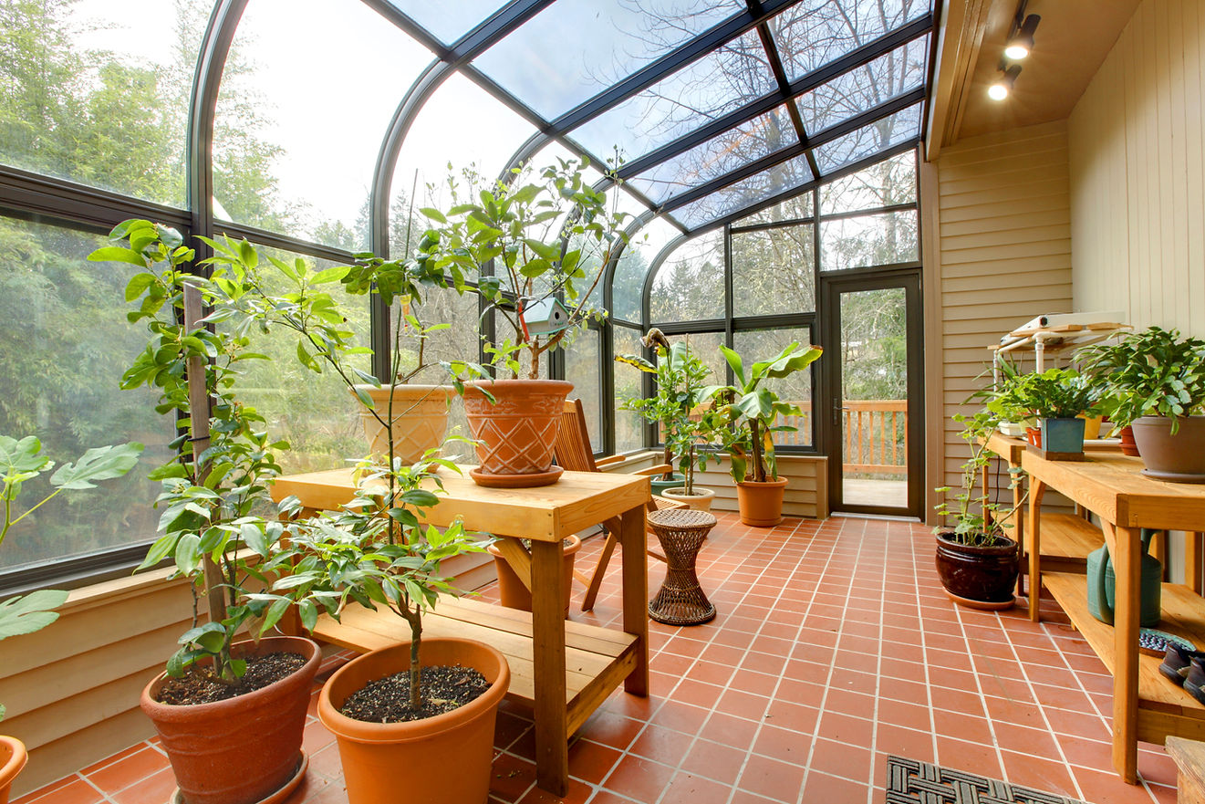 Conservatory space with plants