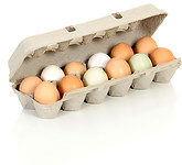 Carton of Eggs