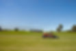 Tractor in Field