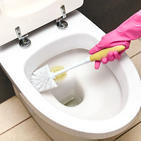 CLEANING TOILET WITH TOILET BRUSH