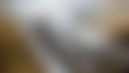 Bridging innovation and impact: Daniel Cervenka’s role in the Global Society Delegation