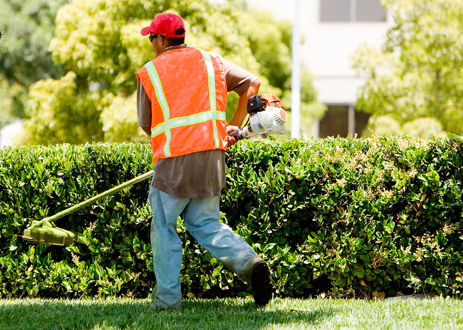 A gardener with a weed wacker