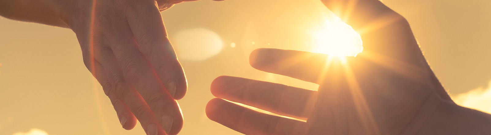 Hands Reaching in Sunlight