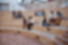 Students Studying Outside