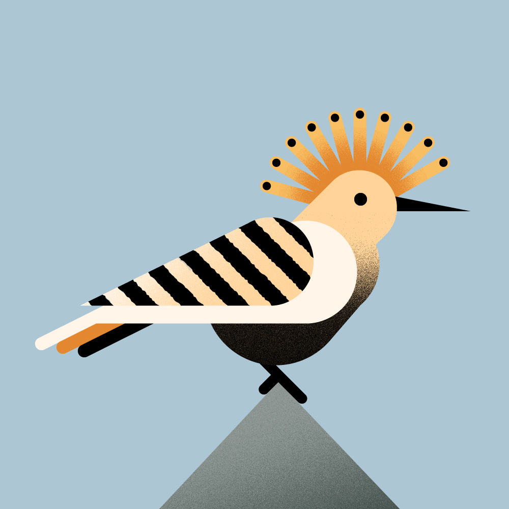 Crested Bird Illustration