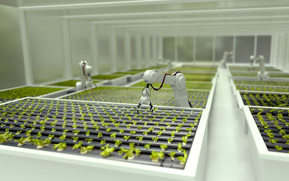 Lettuce-Farming Robots