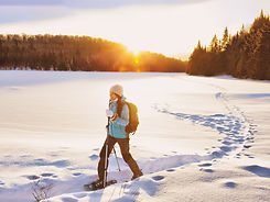 AdobeStock_239804090