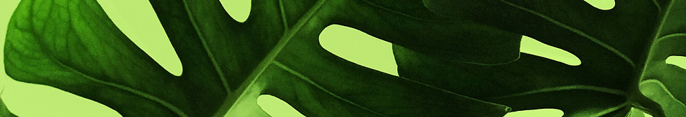 Tropical Leaves