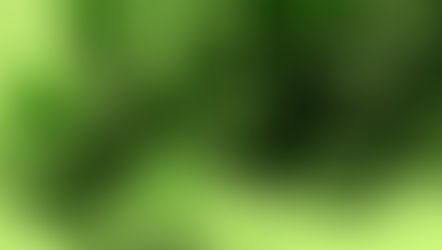 Whoever Misses Standing At Arafah