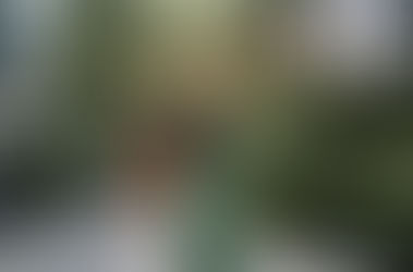 脱マスクで婚活筋を鍛えなおし!