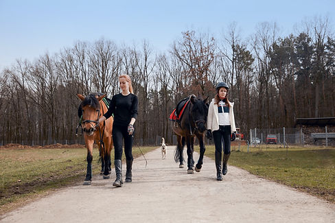 Horseback Trail Walk