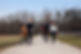 School voor het bevrijden van paarden