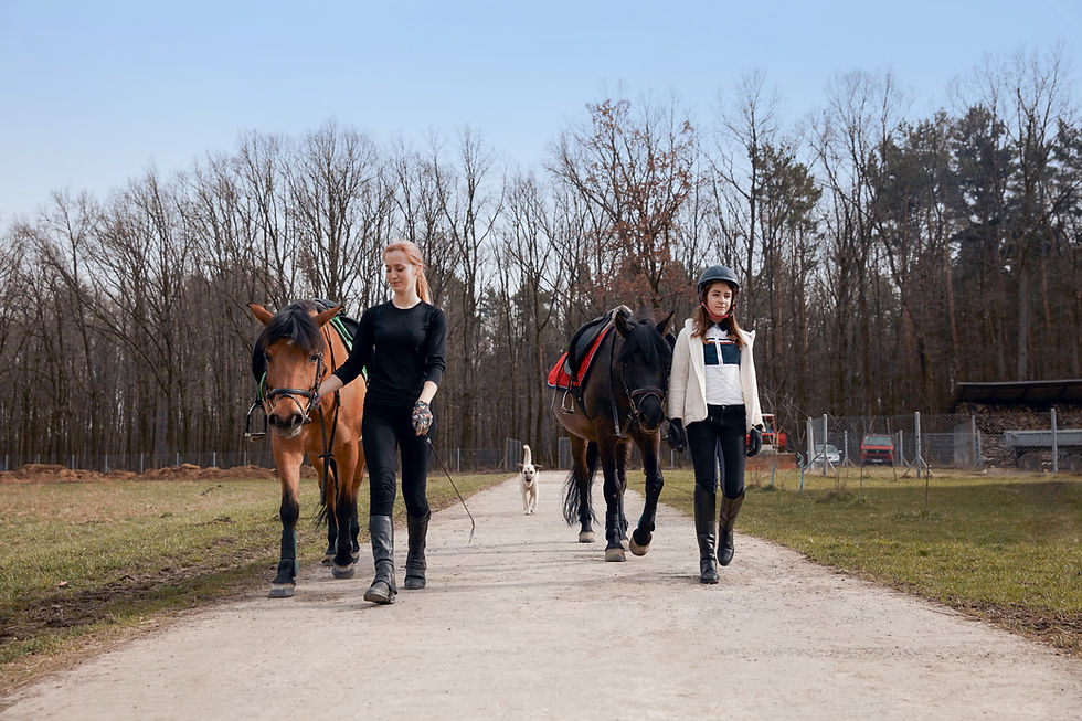 Two people walking horses along a country trail, representing the active outdoor lifestyle enjoyed in Grande Prairie and the Peace Country. Dryland Physiotherapy & Performance helps patients recover from injury, improve mobility and return to horse riding, outdoor recreation and the activities they love.
