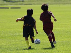 【補助金】令和8年度スポーツ振興くじ助成金