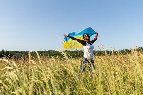 Flag Waving in the Wind