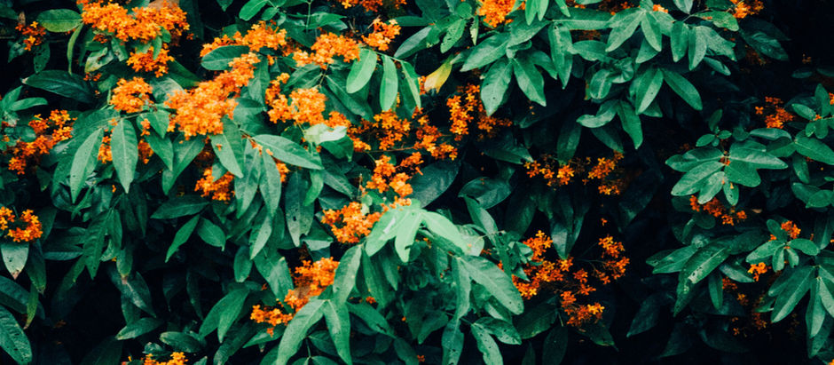 Το «112» της ζωής...