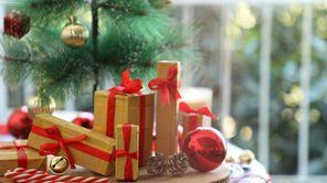 Týden 15.12. - 19.12.2025