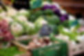 Fresh Vegetables for Sale