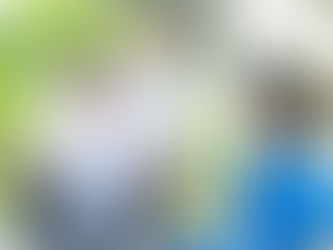 The Mystery behind MS