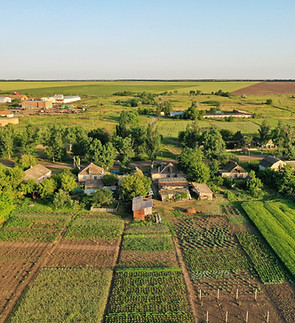 Agricultural Gardens