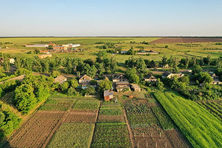 Agricultural Gardens