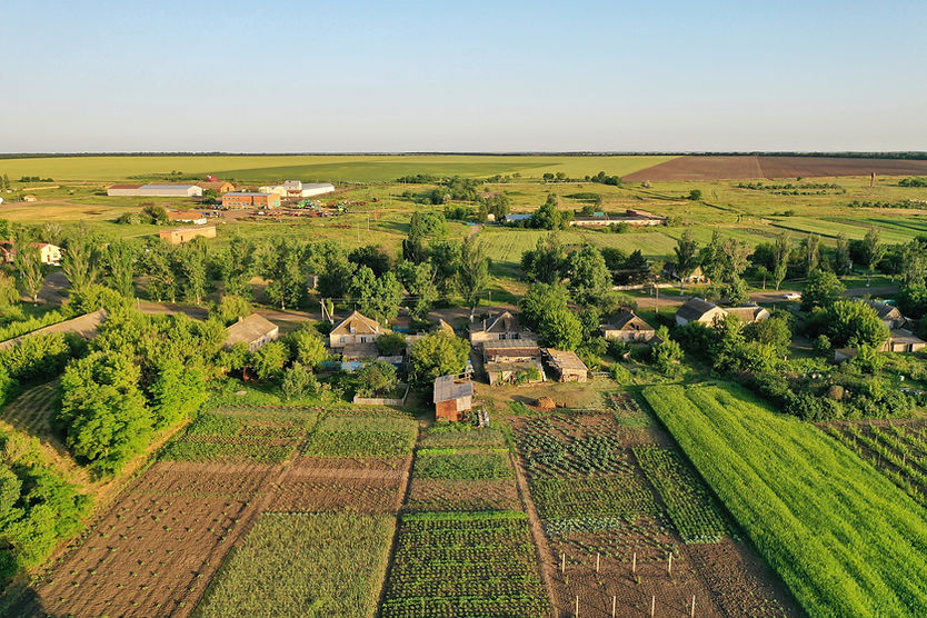 Agricultural Gardens