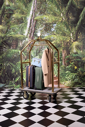 Luggage Trolley