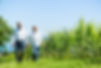 Walking Through Fields