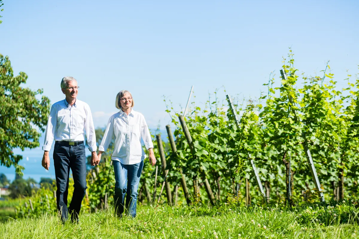 Virginia Winery Distribution Company