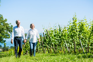 Walking Through Fields