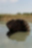 Man Floating Serenely