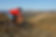 Free Style Mountain Bike