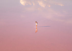 Reflection
