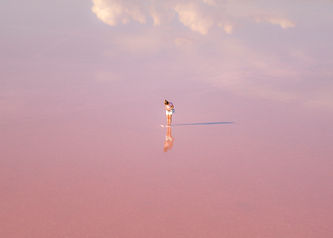 Reflection