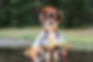 Cachorro em uma capa de chuva
