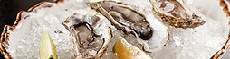 Oysters on Ice